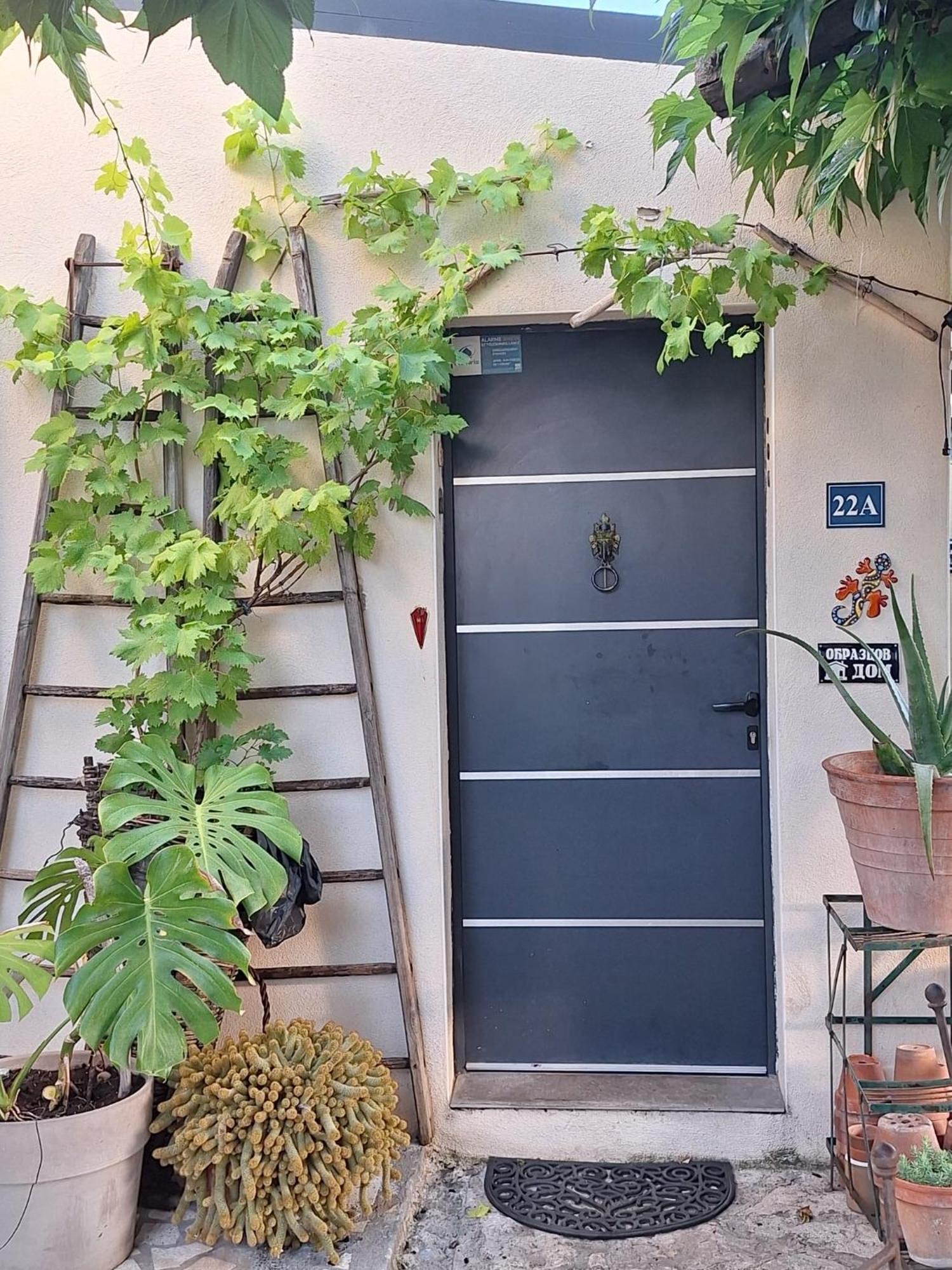 Site Paradis Rue Colibri 亞維農 外观 照片
