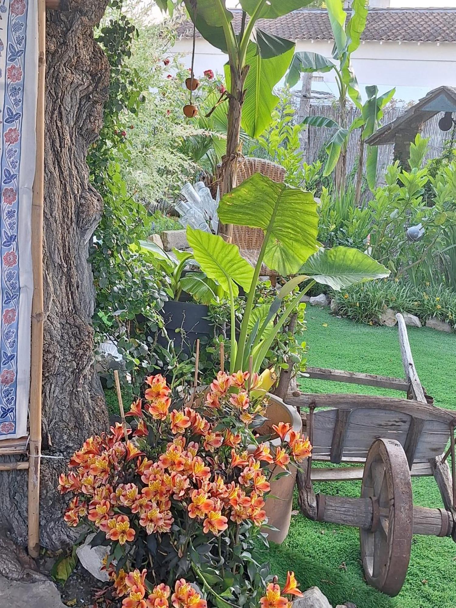Site Paradis Rue Colibri 亞維農 外观 照片
